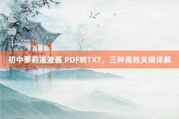 初中萝莉液液酱 PDF转TXT，三种高效关键详解