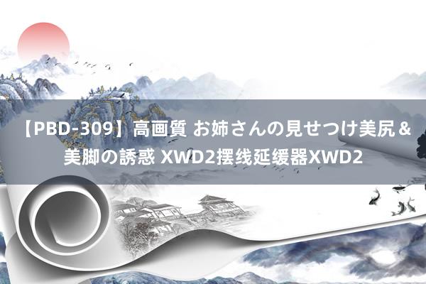 【PBD-309】高画質 お姉さんの見せつけ美尻＆美脚の誘惑 XWD2摆线延缓器XWD2