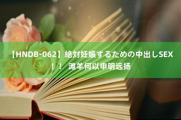 【HNDB-062】絶対妊娠するための中出しSEX！！ 滩羊何以申明远扬