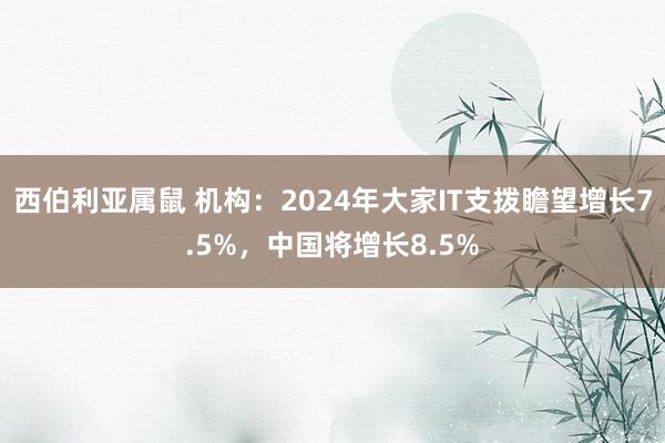 西伯利亚属鼠 机构：2024年大家IT支拨瞻望增长7.5%，中国将增长8.5%