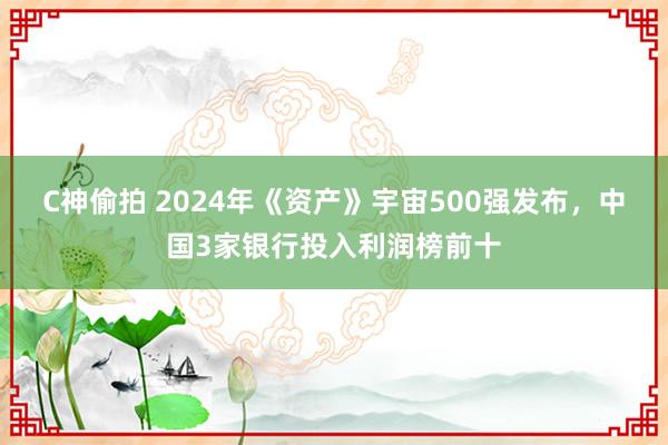 C神偷拍 2024年《资产》宇宙500强发布，中国3家银行投入利润榜前十