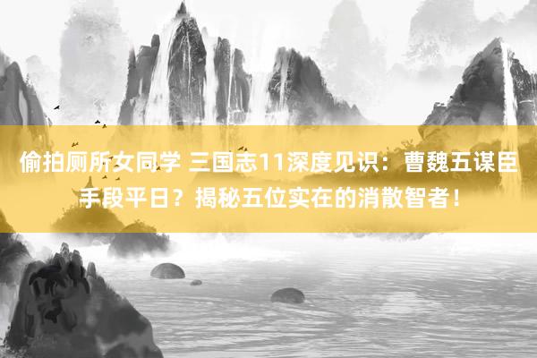 偷拍厕所女同学 三国志11深度见识：曹魏五谋臣手段平日？揭秘五位实在的消散智者！