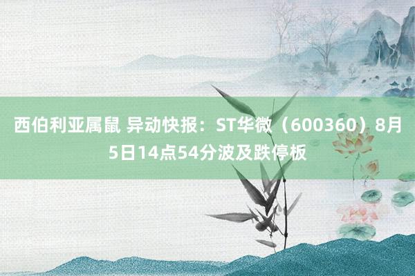 西伯利亚属鼠 异动快报：ST华微（600360）8月5日14点54分波及跌停板