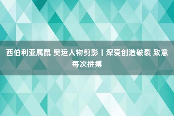 西伯利亚属鼠 奥运人物剪影丨深爱创造破裂 致意每次拼搏