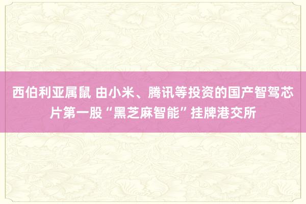 西伯利亚属鼠 由小米、腾讯等投资的国产智驾芯片第一股“黑芝麻智能”挂牌港交所