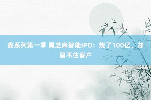 鑫系列第一季 黑芝麻智能IPO：烧了100亿，却留不住客户