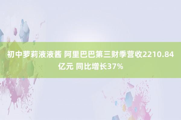 初中萝莉液液酱 阿里巴巴第三财季营收2210.84亿元 同比增长37%