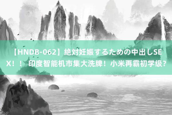 【HNDB-062】絶対妊娠するための中出しSEX！！ 印度智能机市集大洗牌！小米再霸初学级？