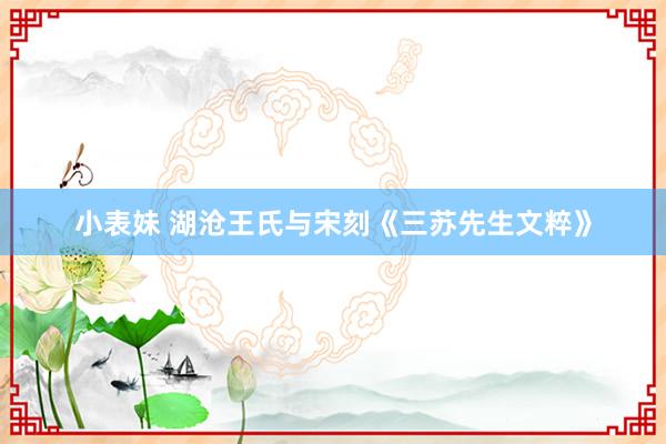 小表妹 湖沧王氏与宋刻《三苏先生文粹》