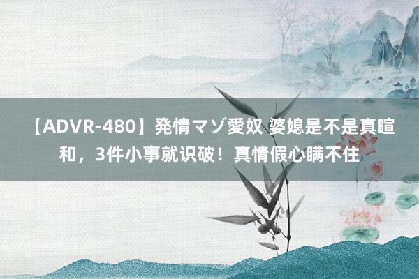 【ADVR-480】発情マゾ愛奴 婆媳是不是真暄和，3件小事就识破！真情假心瞒不住