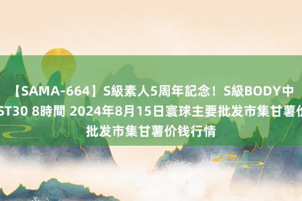 【SAMA-664】S級素人5周年記念！S級BODY中出しBEST30 8時間 2024年8月15日寰球主要批发市集甘薯价钱行情