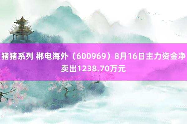 猪猪系列 郴电海外（600969）8月16日主力资金净卖出1238.70万元