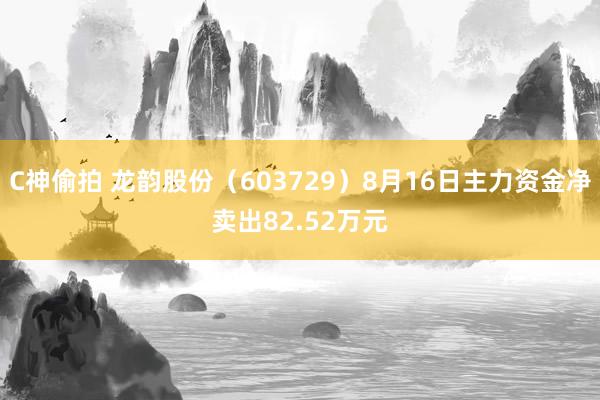 C神偷拍 龙韵股份（603729）8月16日主力资金净卖出82.52万元