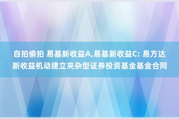 自拍偷拍 易基新收益A,易基新收益C: 易方达新收益机动建立夹杂型证券投资基金基金合同