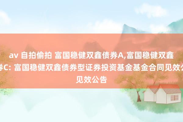 av 自拍偷拍 富国稳健双鑫债券A,富国稳健双鑫债券C: 富国稳健双鑫债券型证券投资基金基金合同见效公告