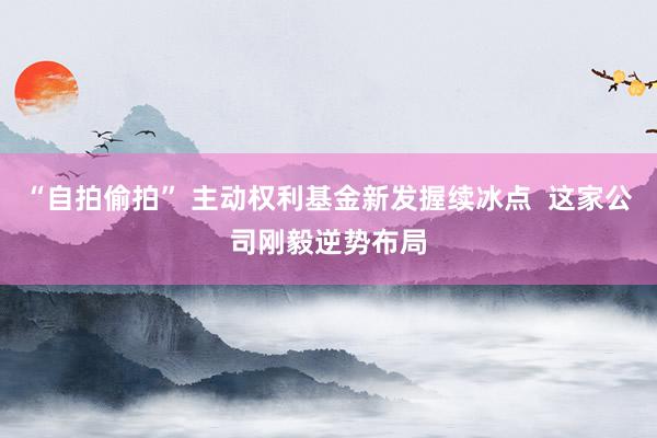 “自拍偷拍” 主动权利基金新发握续冰点  这家公司刚毅逆势布局