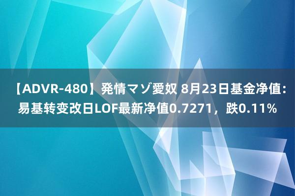 【ADVR-480】発情マゾ愛奴 8月23日基金净值：易基转变改日LOF最新净值0.7271，跌0.11%