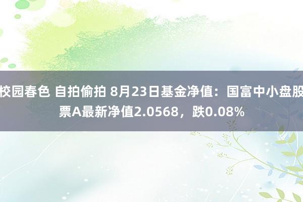 校园春色 自拍偷拍 8月23日基金净值：国富中小盘股票A最新净值2.0568，跌0.08%