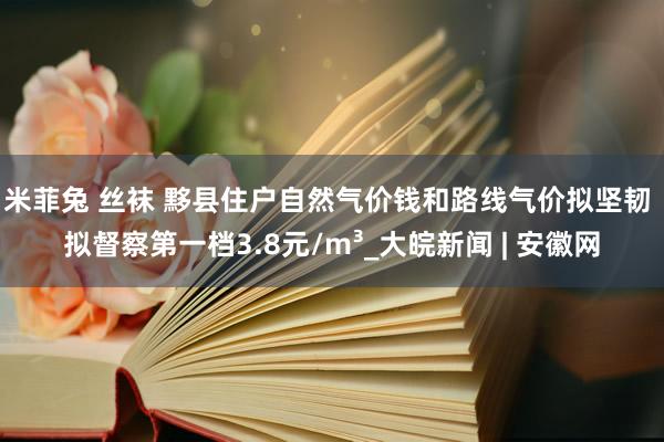 米菲兔 丝袜 黟县住户自然气价钱和路线气价拟坚韧 拟督察第一档3.8元/m³_大皖新闻 | 安徽网