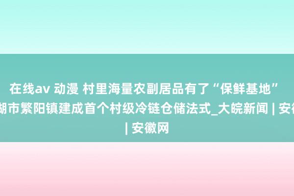 在线av 动漫 村里海量农副居品有了“保鲜基地”  芜湖市繁阳镇建成首个村级冷链仓储法式_大皖新闻 | 安徽网