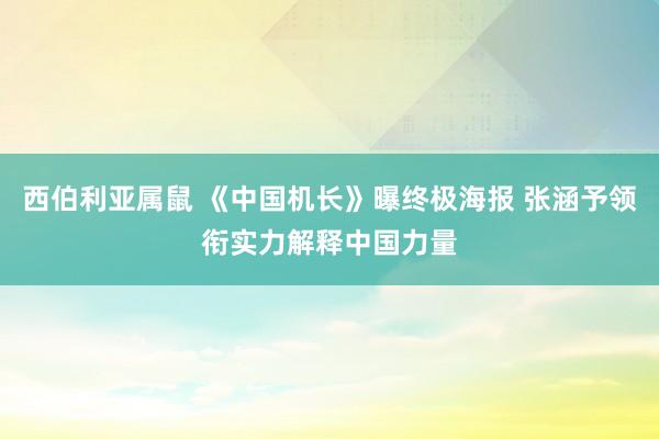 西伯利亚属鼠 《中国机长》曝终极海报 张涵予领衔实力解释中国力量