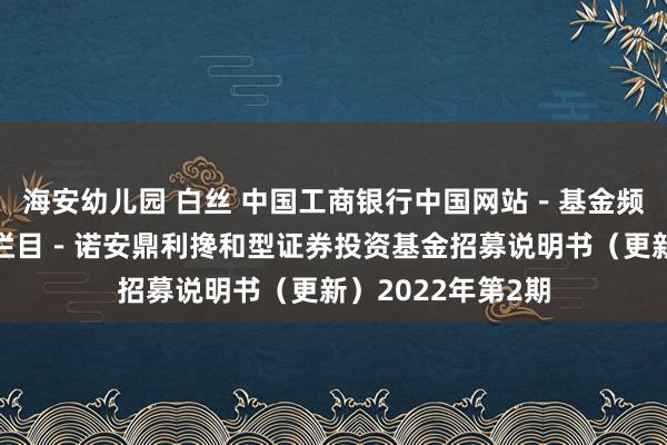 海安幼儿园 白丝 中国工商银行中国网站－基金频说念－基金公告栏目－诺安鼎利搀和型证券投资基金招募说明书（更新）2022年第2期